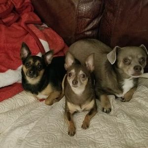 Meet your Posher, Danyiel